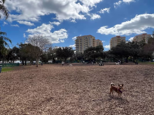 Dog Park at North Shore Park photo 1